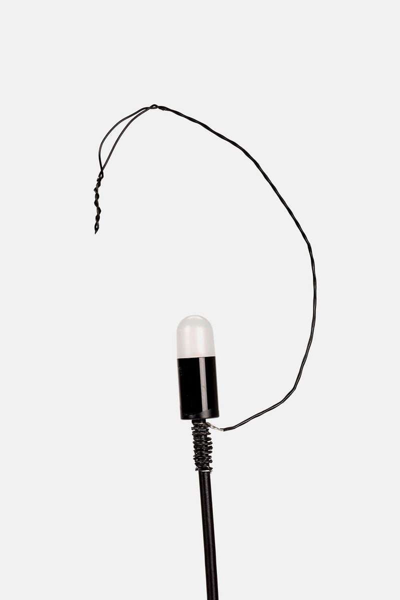 Eo - Free Standing Lamp